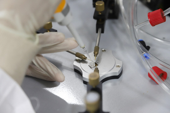 한국생명공학연구원은 진단 현장에서 고감도를 유지하며 실시간으로 박테리아 검출이 가능한 '그래핀 기반 나노 바이오센서'를 개발했다.  생명연 제공